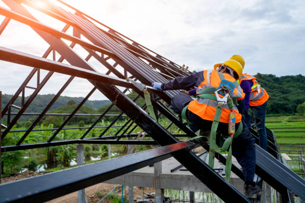 Best Roof Restoration Services  in New Boston, TX